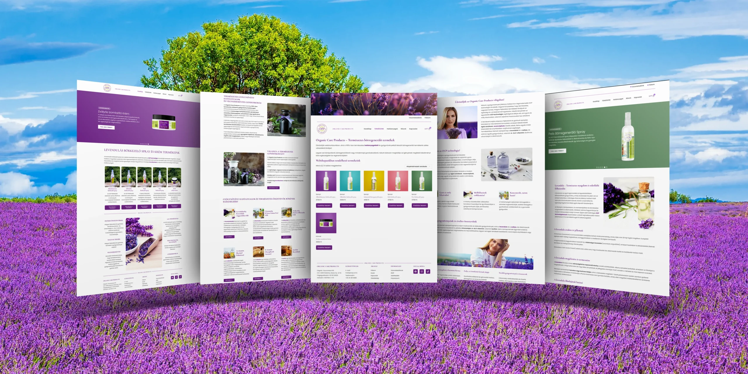 Modern és reszponzív webdesign – Esztétikus és felhasználóbarát weboldalak, amelyek segítik az ügyfélszerzést.