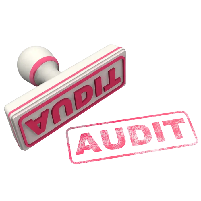 Ingynes weboldalaudit, hogy tudd merre lépj tovább online vállalkozásod sikerében.