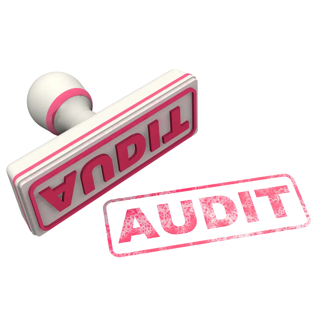 Ingynes weboldalaudit, hogy tudd merre lépj tovább online vállalkozásod sikerében.